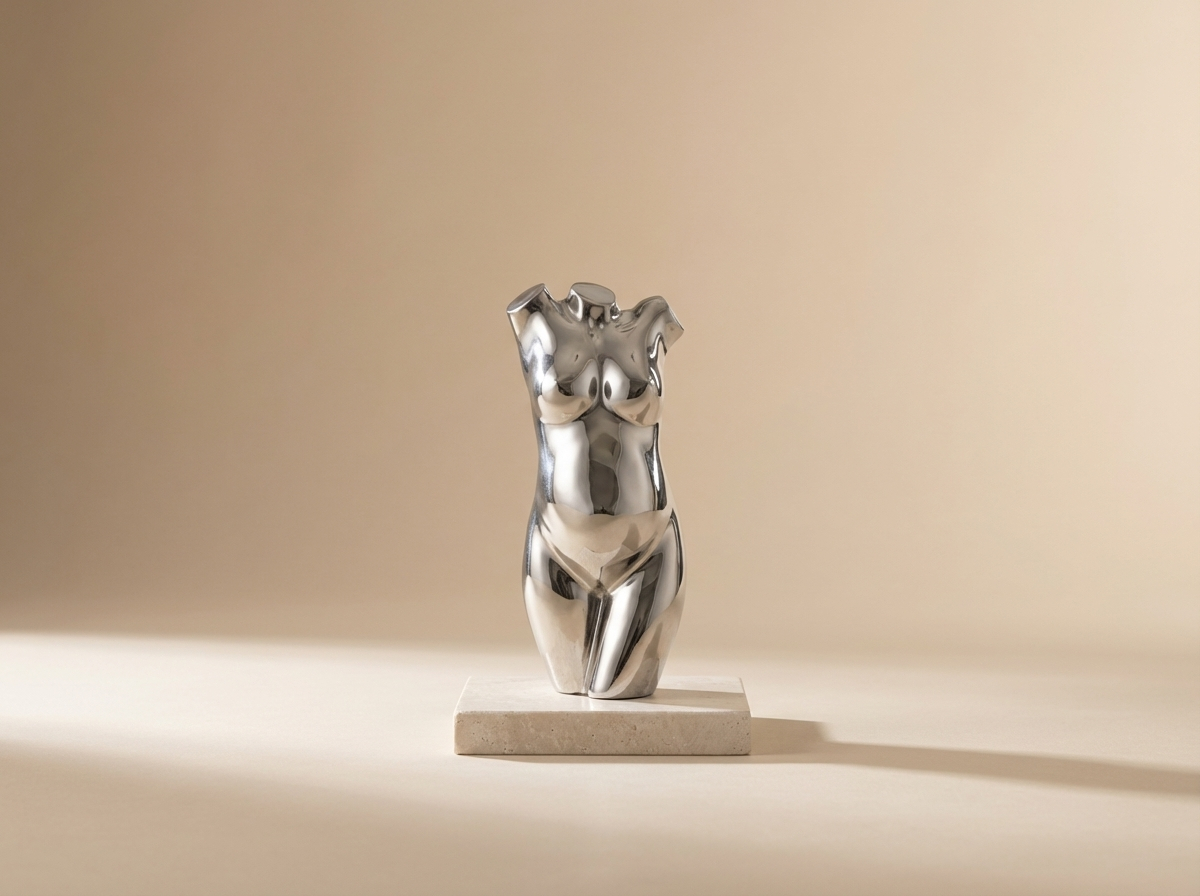Mini zilver productfoto
